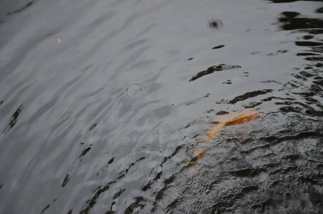 骤然将热气一扫而光 数点淅沥雨 漾起蒸腾雾气 落在地面上 地上