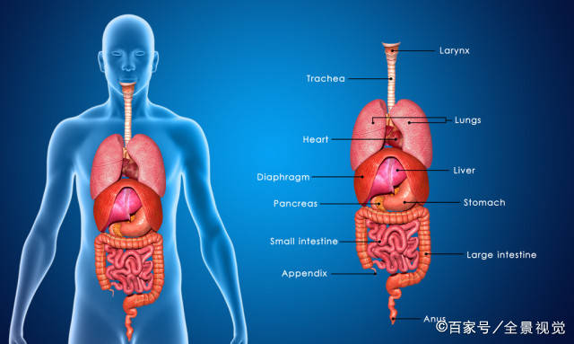 能力|身体这5个部位出现异样,说明你的器官太“脏”了,不妨对照看看