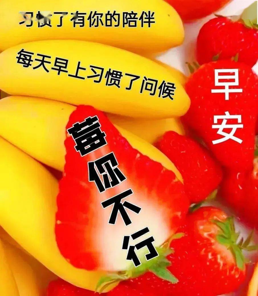 早上好表情包,问候老同学,我们一起向快乐出发!