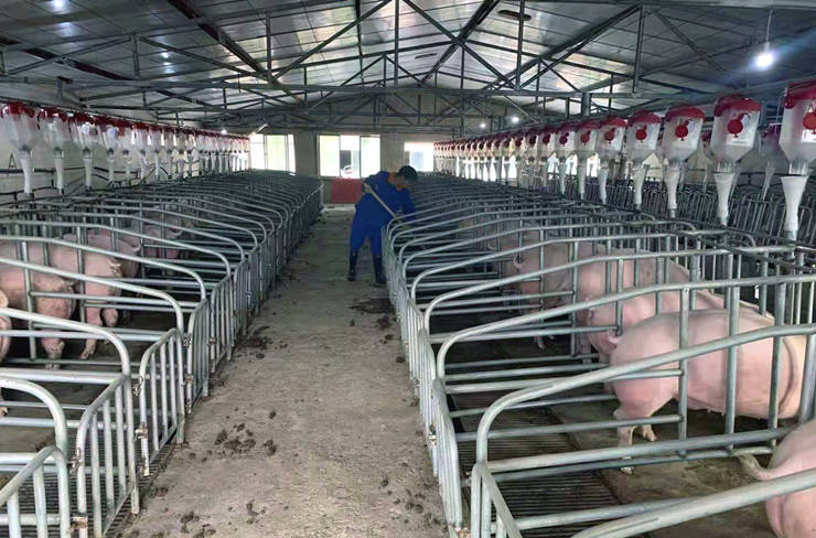 清镇市润泽生态养殖有限公司在流长乡黑土村400头能繁母猪养殖场