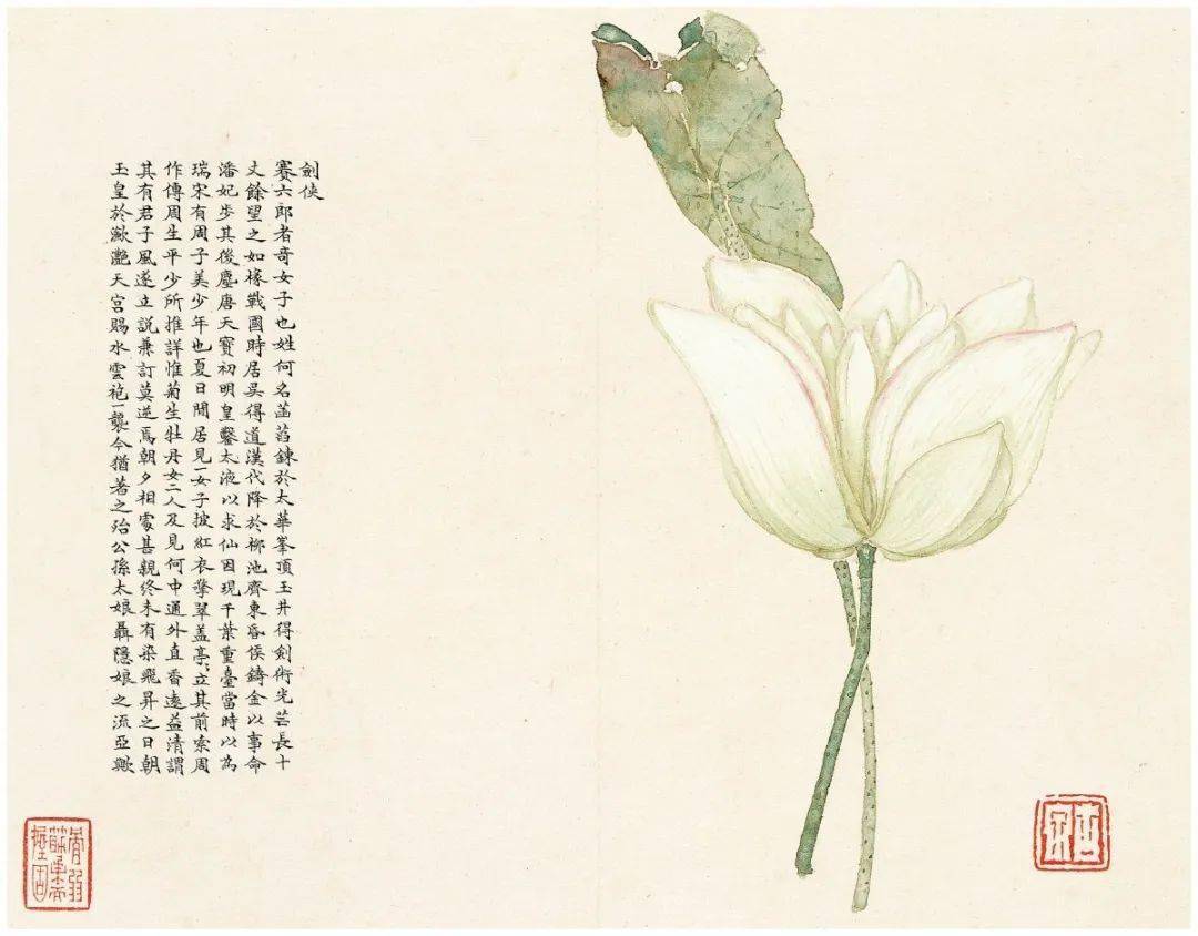他笔下群芳竞妍超逸出尘