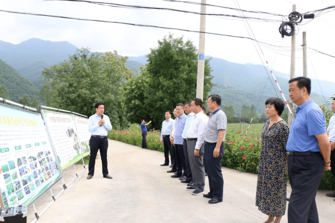 政协动态宝鸡市政协对太白县秦岭生态保护与绿色发展进行视察监督