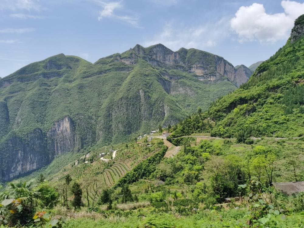 重庆市江津区先锋镇保坪村,重庆市巫山县竹贤乡下庄村,重庆市奉节县