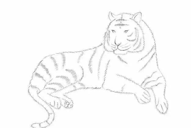 彩铅教程八种颜色就能画出凶猛大老虎
