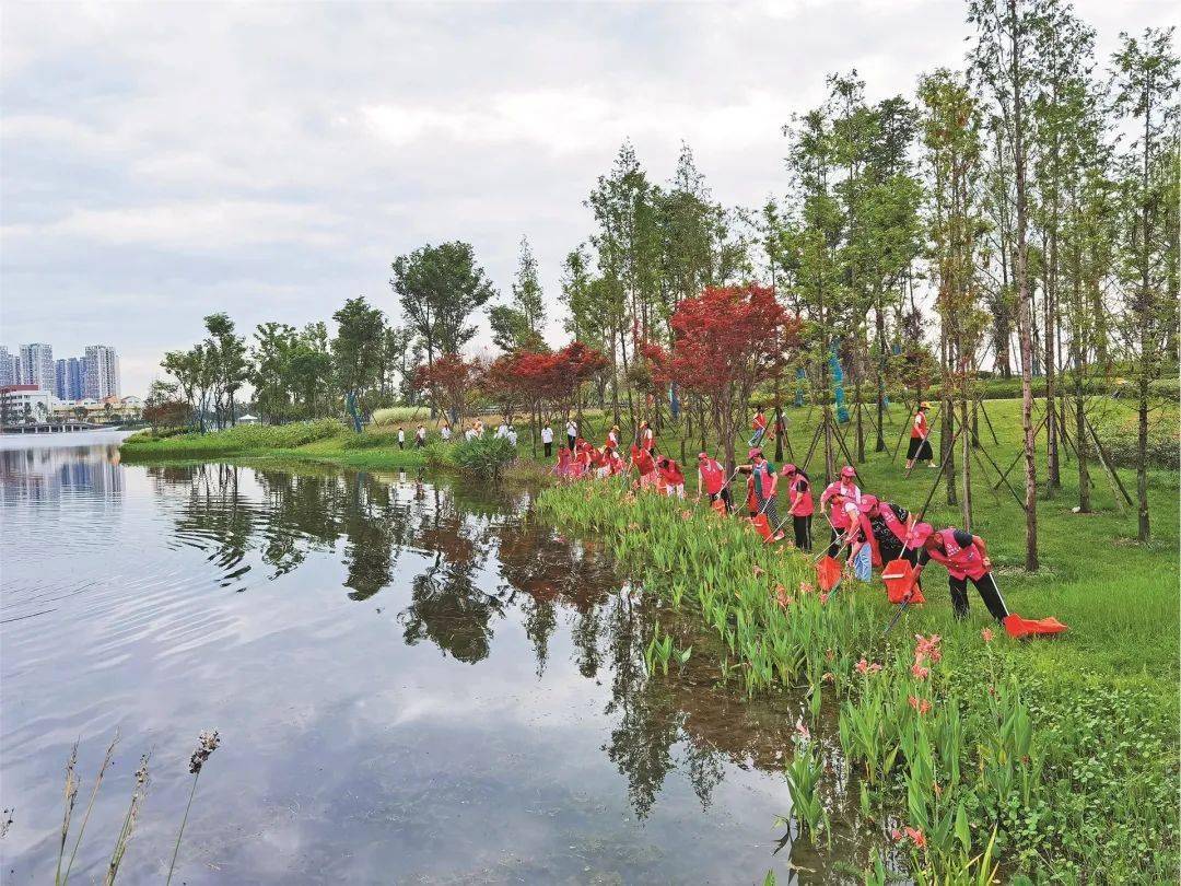 【绿水青山】成都市郫都区唐昌镇水源地:守护一方清流