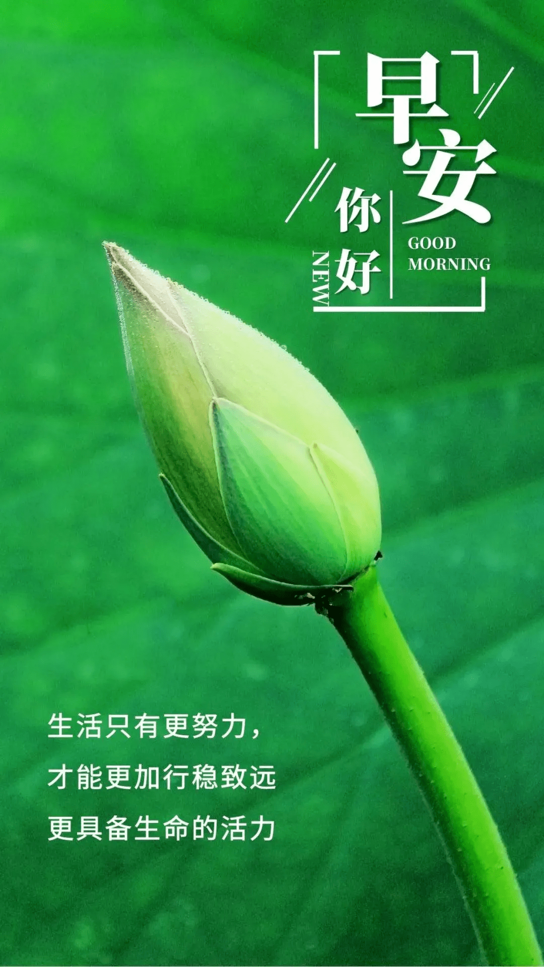 8月16日 | 早安 · 心语