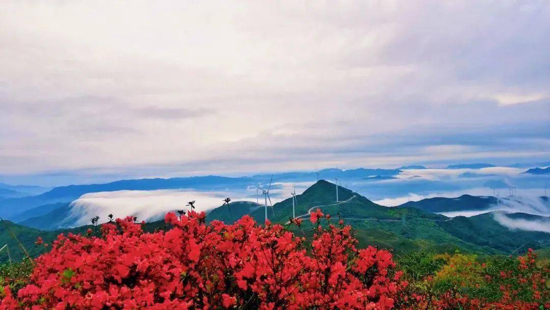 来同安云顶山,观日出赏日落!你想怎么浪漫都可以