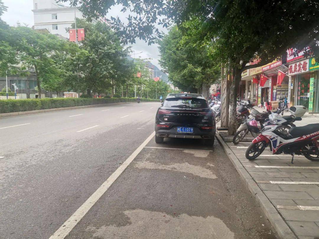 违法行为:机动车违反禁止停车标志指示停车的违法地点:巧家县堂琅