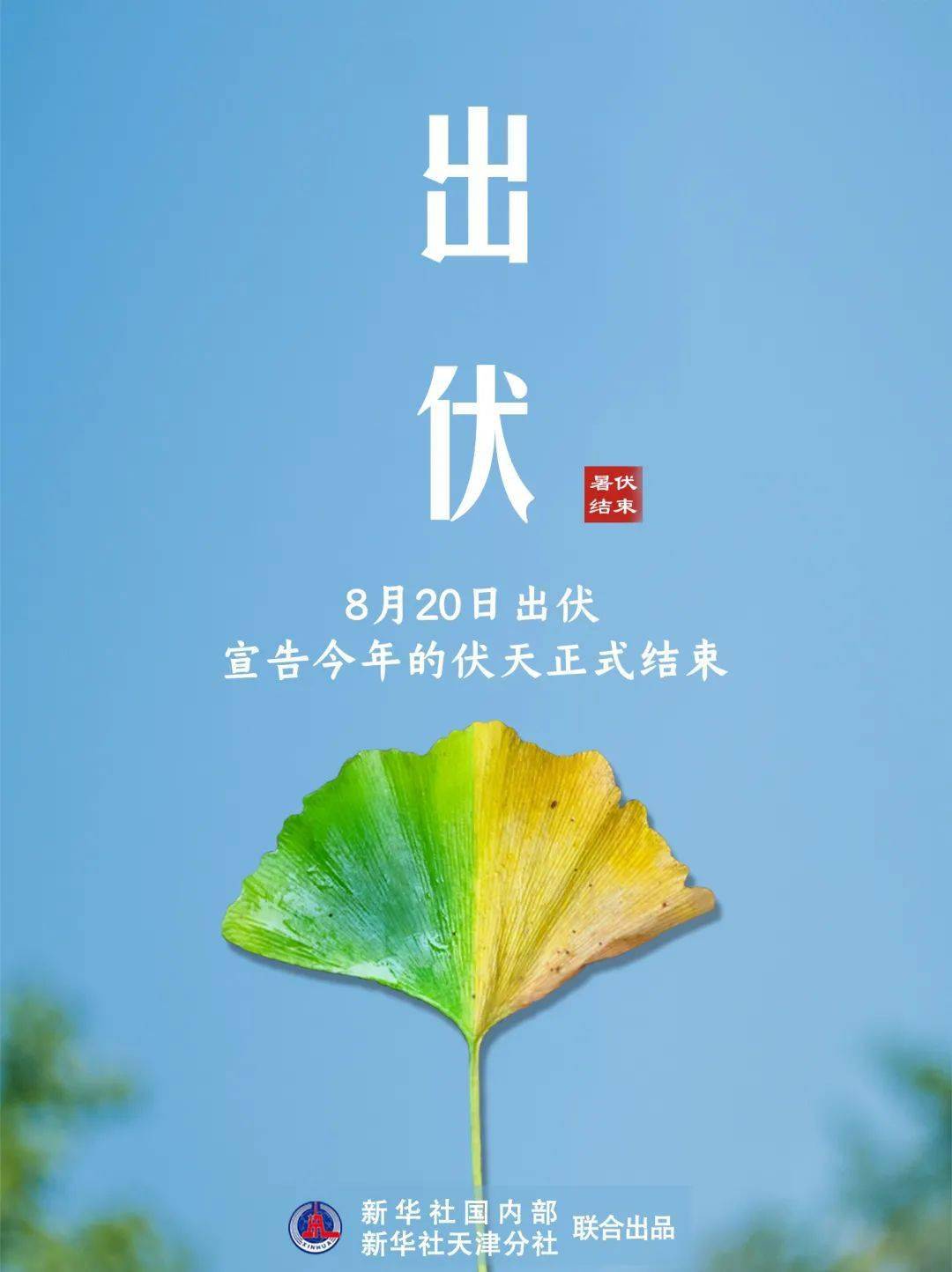 8月19日是末伏的最后一天, 长达40天的"三伏"终于要结束啦!