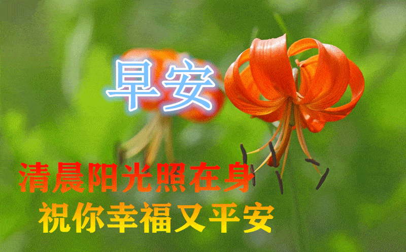 8月18日最漂亮早上好动态表情图片大全,早晨好动图美图大全