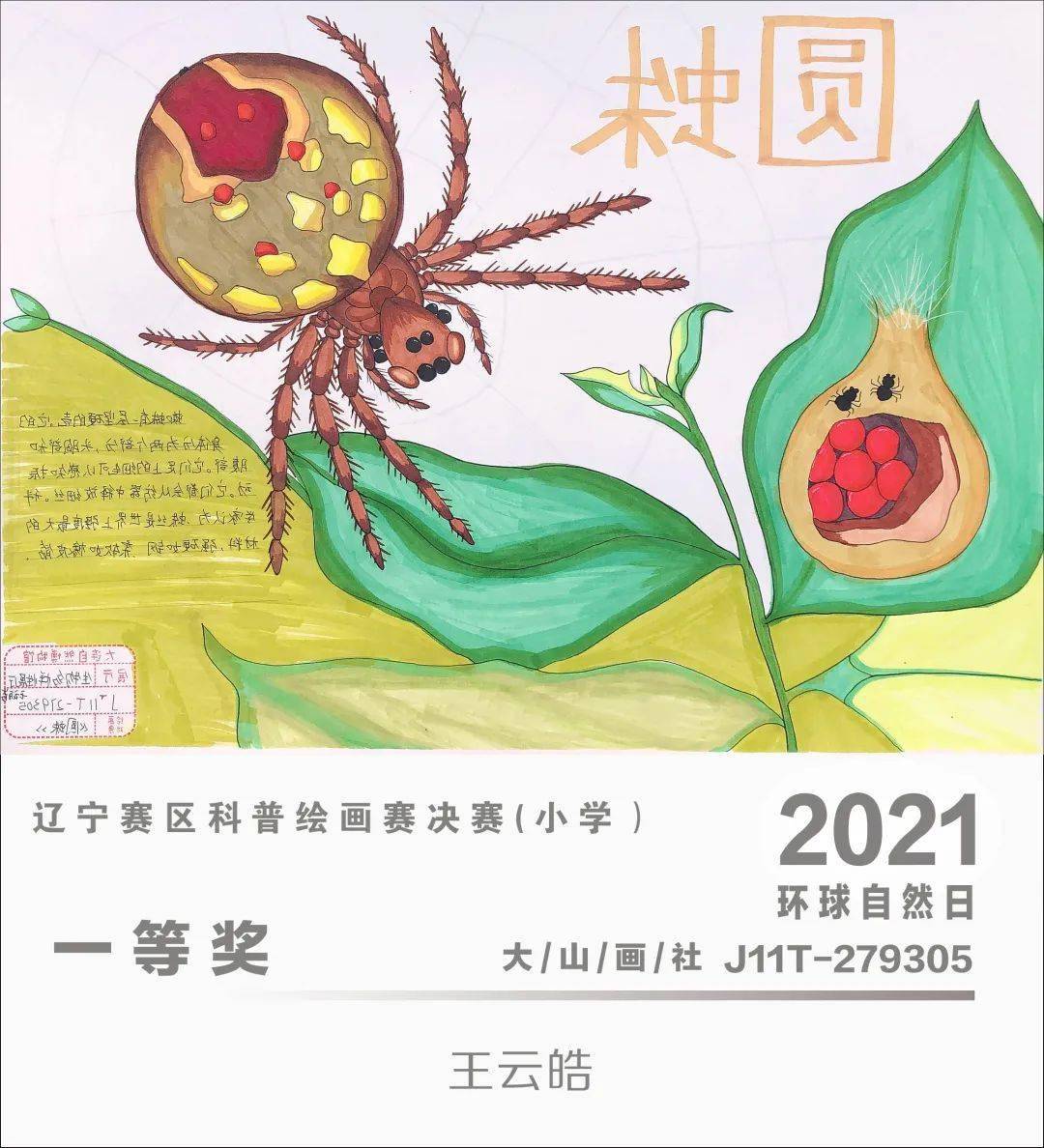 环球自然日2021辽宁赛区科普绘画赛优秀作品赏析