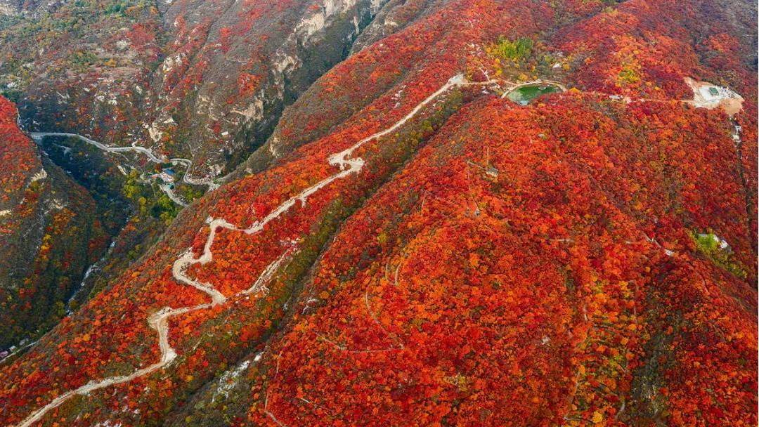 红叶房提前开售 | 这个秋天,独拥满山红叶!_景区