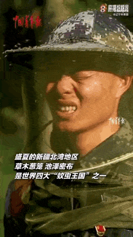 令人看了头皮发麻 能扫成一堆的程度 新疆北湾每立方米有1700