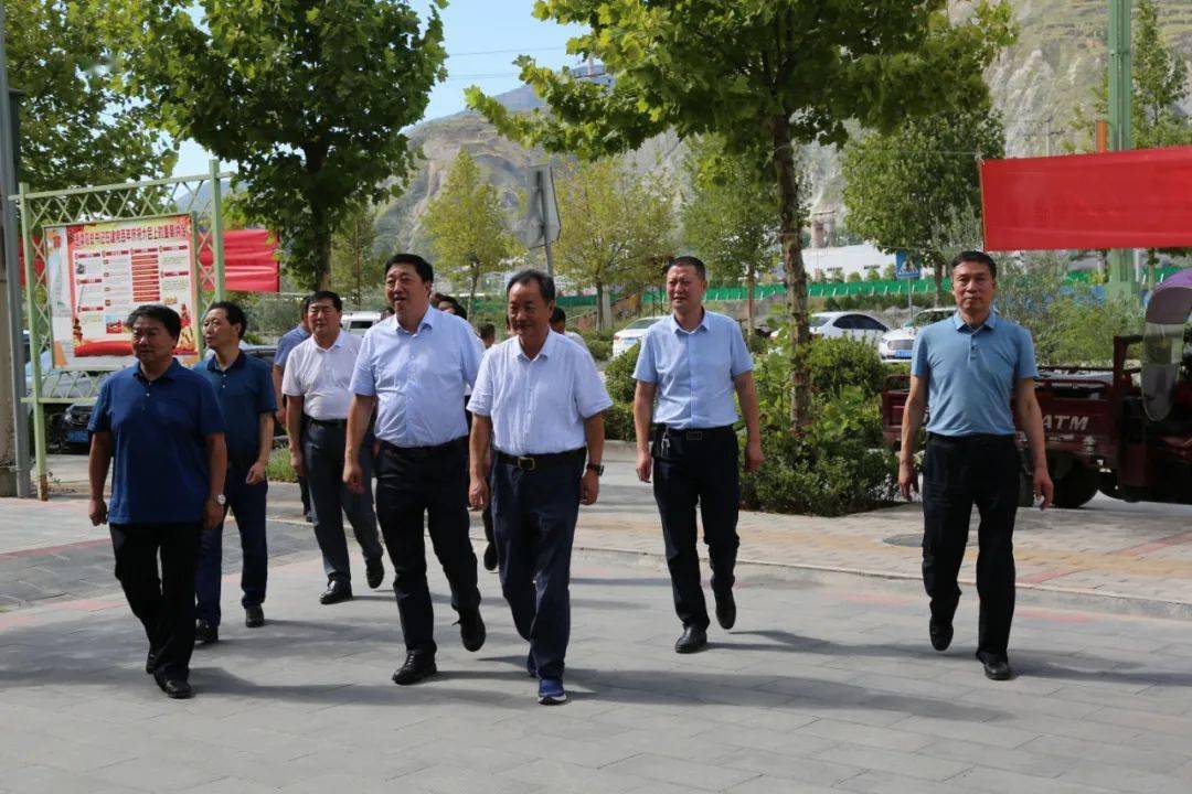 岳金林在武都区督导区乡两级人大换届选举工作