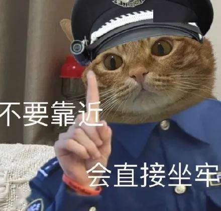 你真刑啊