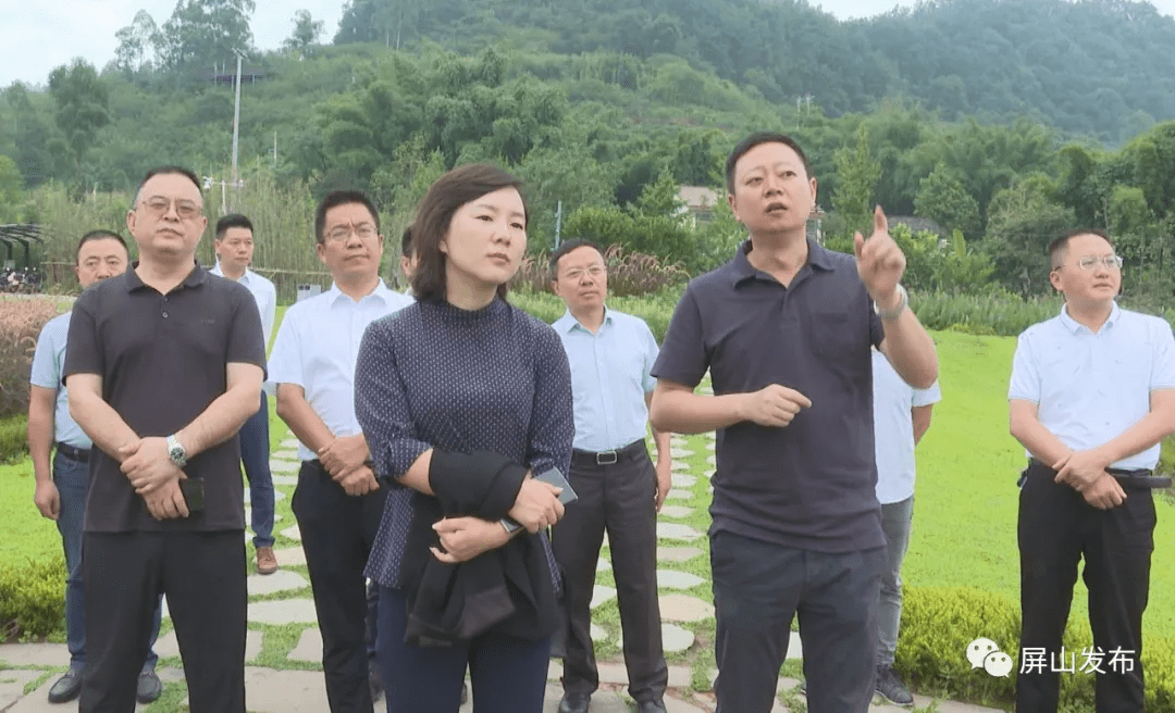 赵丹率队到翠屏区考察学习乡村振兴示范建设工作