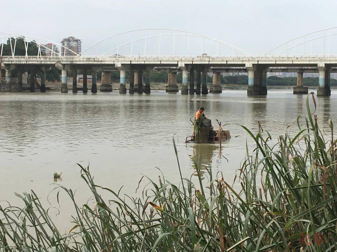 说一说老浮桥街的人和事