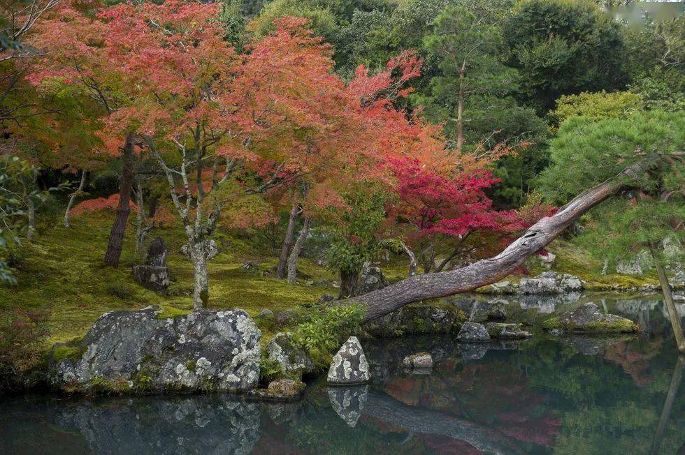 作为与足利将军家和后醍醐天皇有渊源的禅寺,一直被认为是"京都五山"