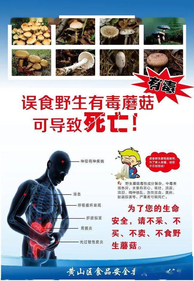 【食品安全】防范野生蘑菇中毒风险警示!