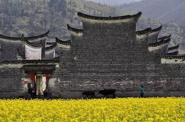 中国古建筑,惊艳了时光的独特魅力
