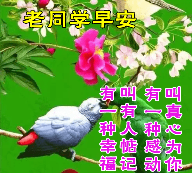 8月31日早上好动态表情图片大全,早晨好动图美图大全