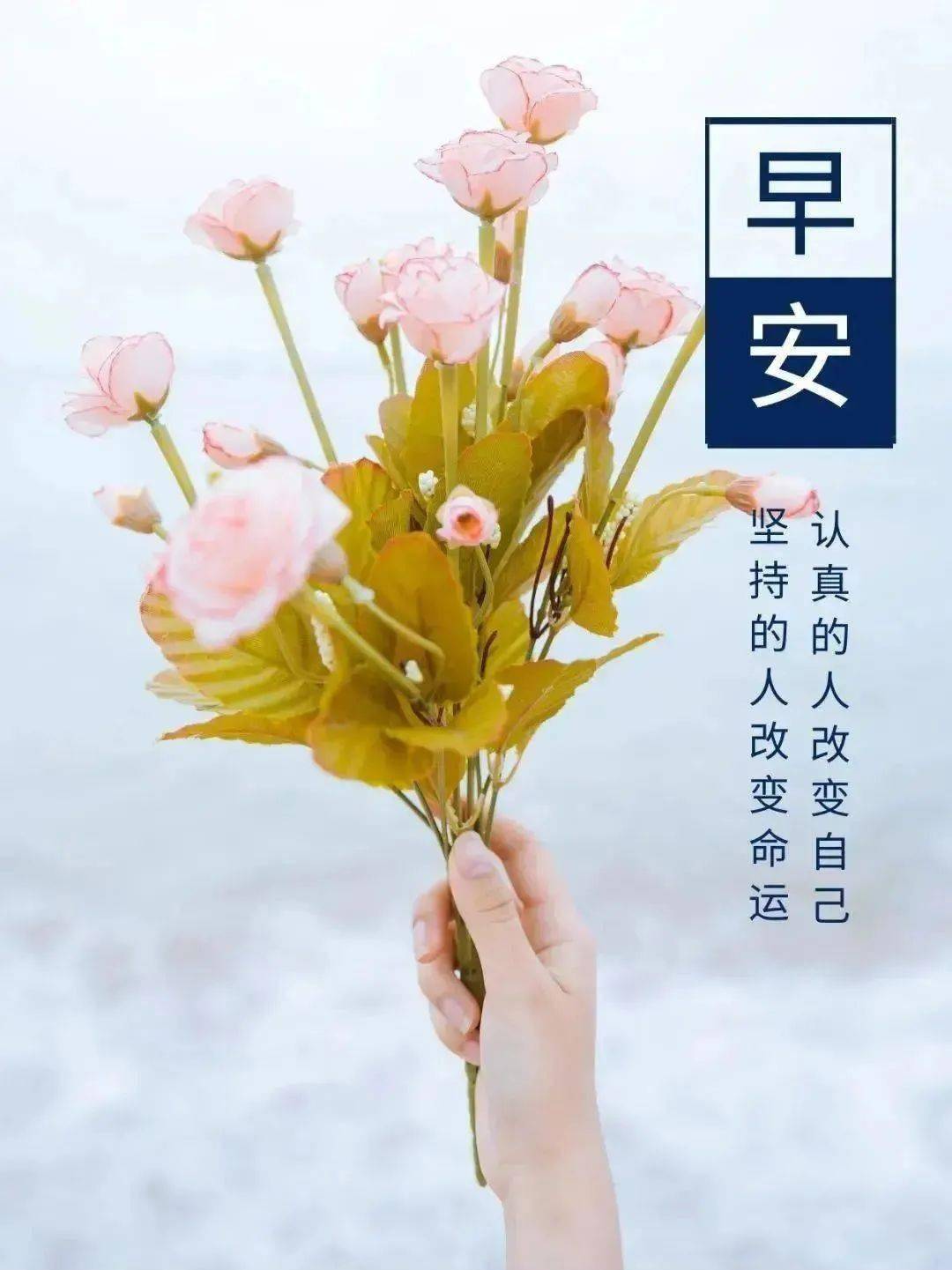 新的一天,新的开始!