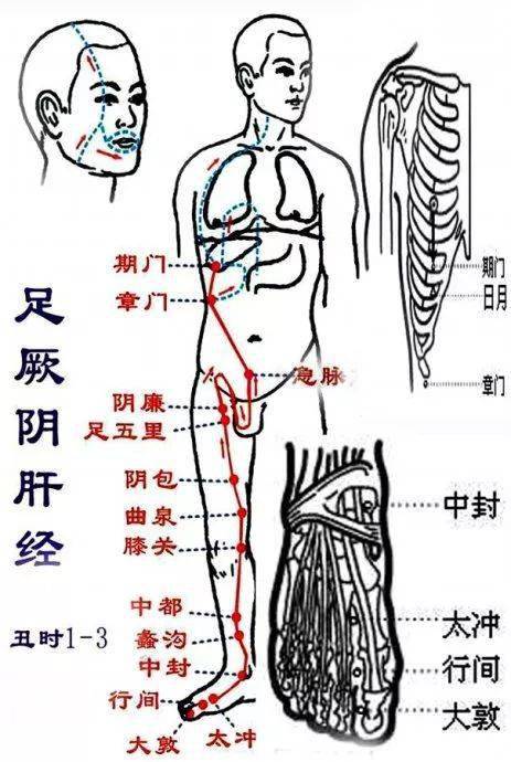 刮痧疏通肝经方法