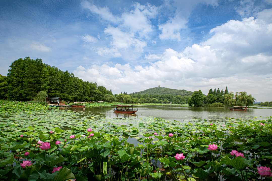 鼋头渚秋日康养二日游醉在山水之间