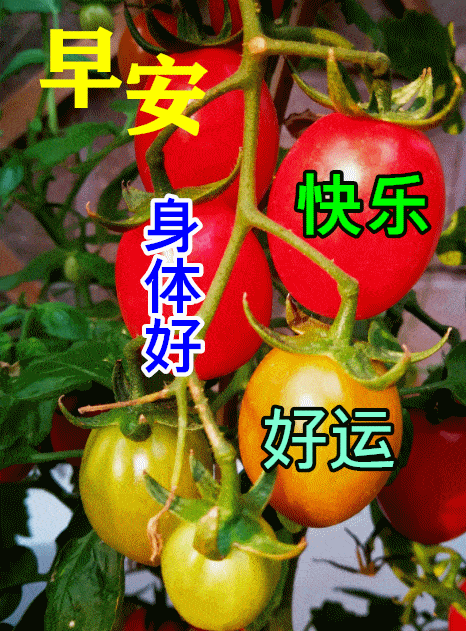 早上好动态表情图片大全,早晨好动图美图大全