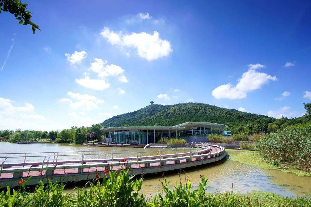 门票:免费 地址:溧水区和凤镇张许村 无想山景区 一树引领,秋色动人