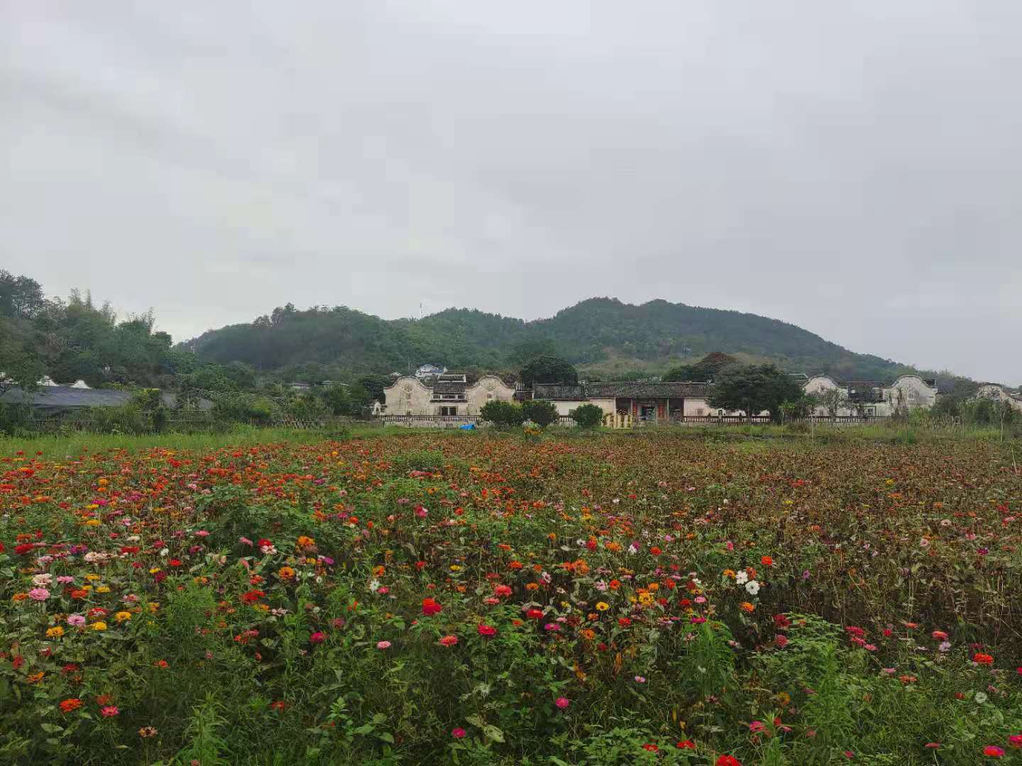 梅州侨乡村