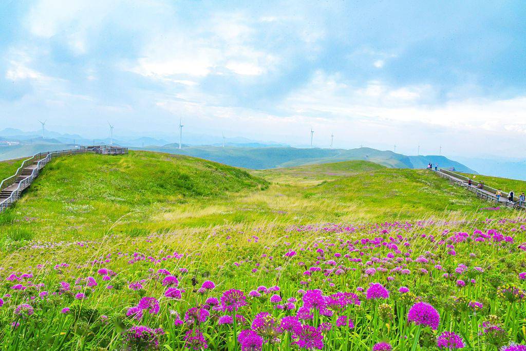 【秋天的第一场旅行】云上花海,贵州屋脊!