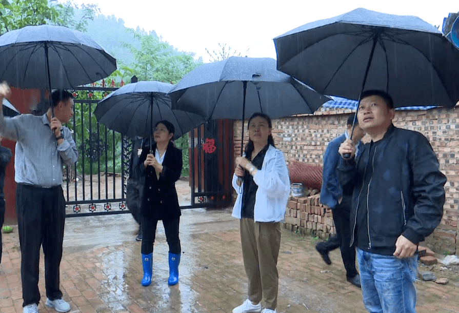 段玉凤检查砖窑湾镇防汛工作