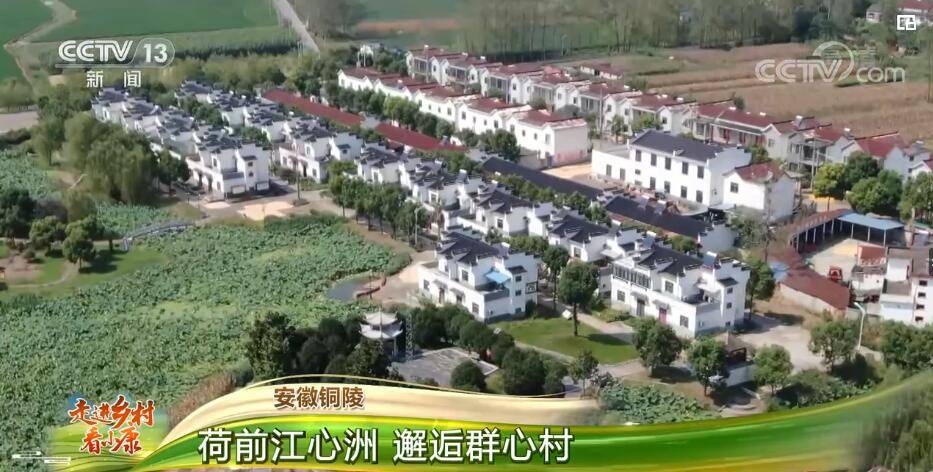 收入|走进乡村看小康 | 安徽铜陵：荷前江心洲 邂逅群心村