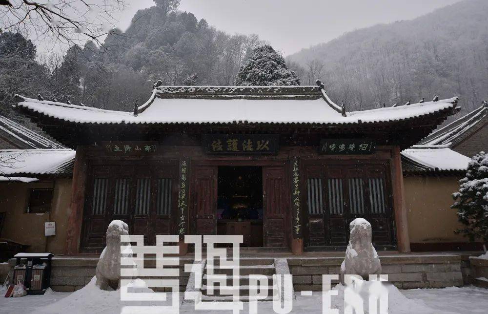 终南山上茶未了