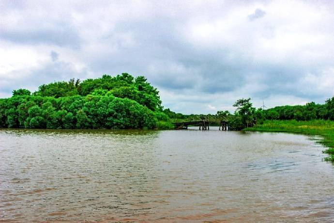 夏游东滩湿地公园,原生态的自然状态,有一种亲近大自然的享受