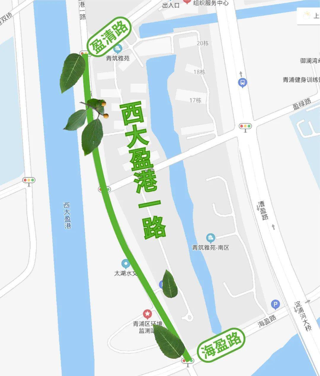 2021年本市新增54条(段)林荫道,看完整地图