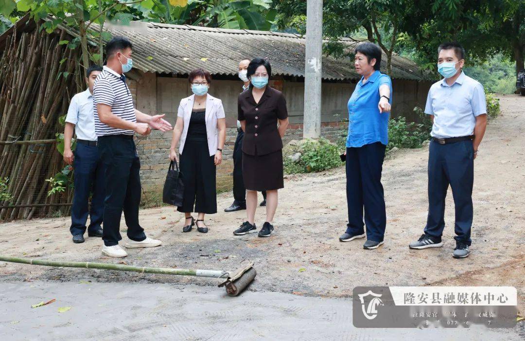 县委副书记,代县长王亚楠,县委常委,统战部部长莫雄武陪同调研.