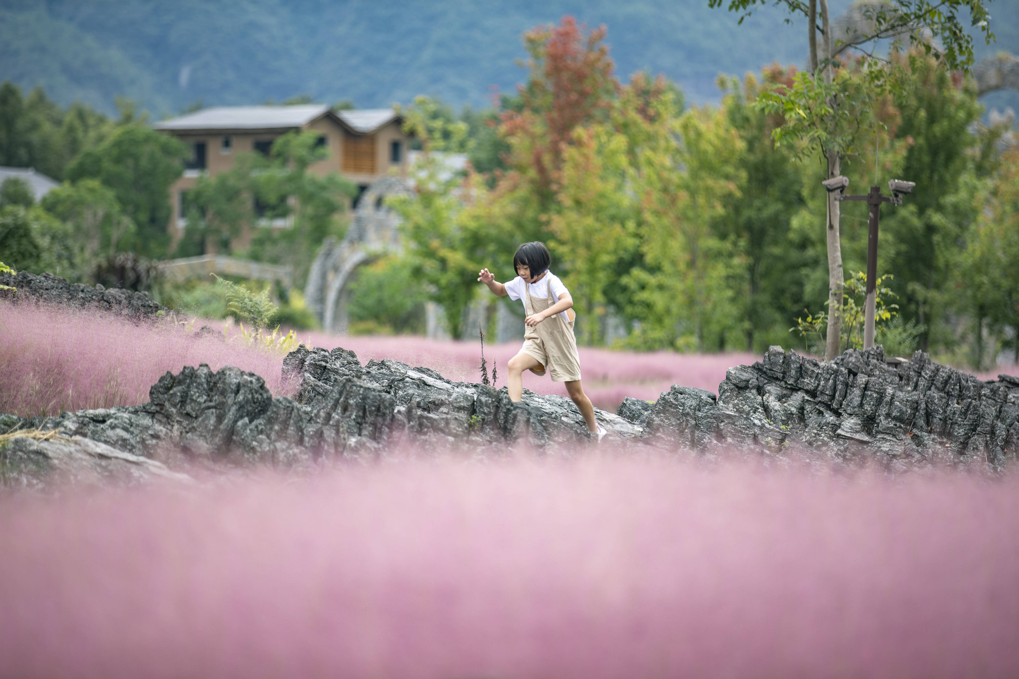 重庆酉阳:荒地变身生态文化景区