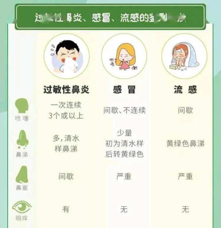 四,应对过敏性鼻炎的常见误区