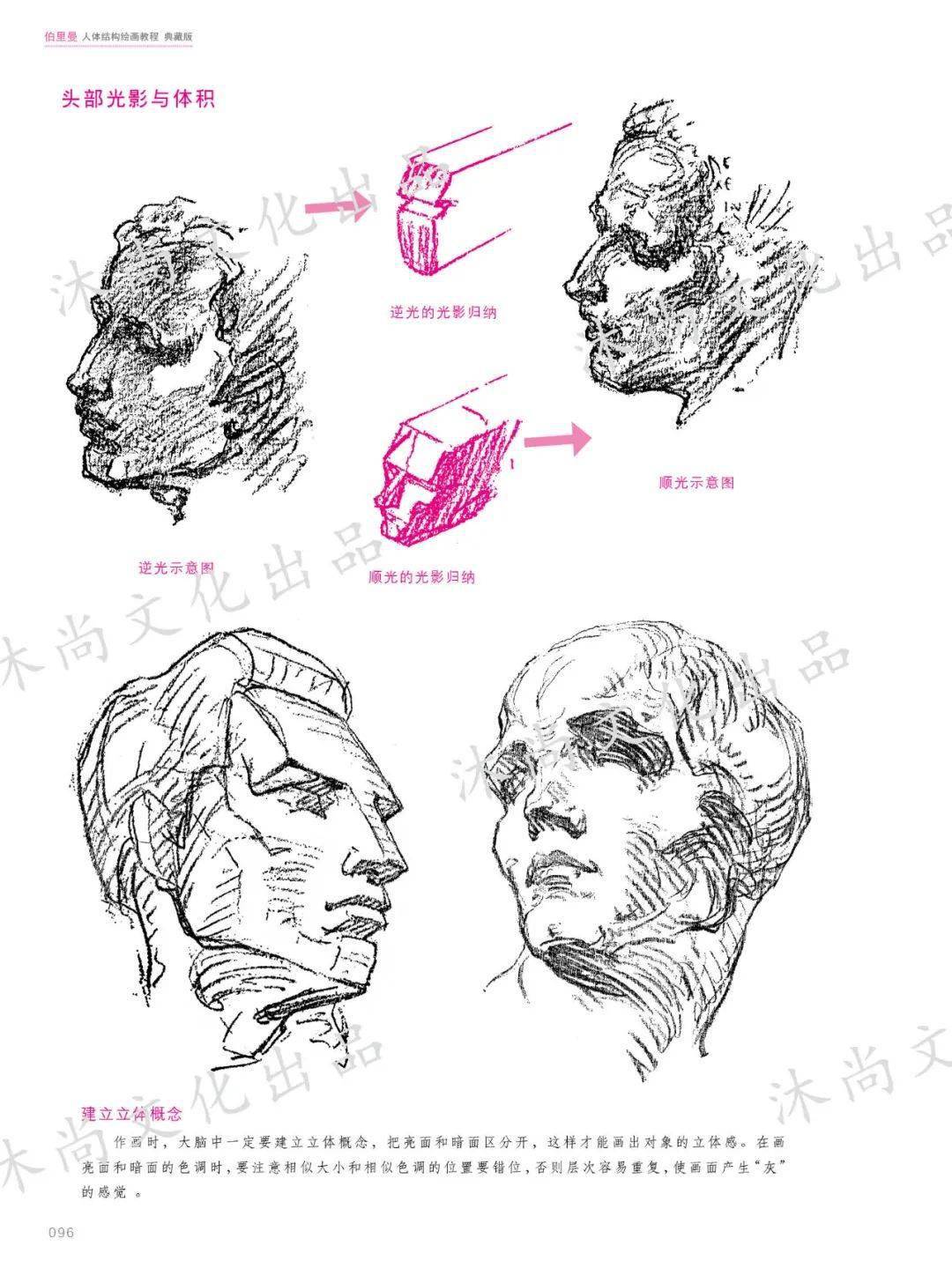 《伯里曼人体结构绘画教程》