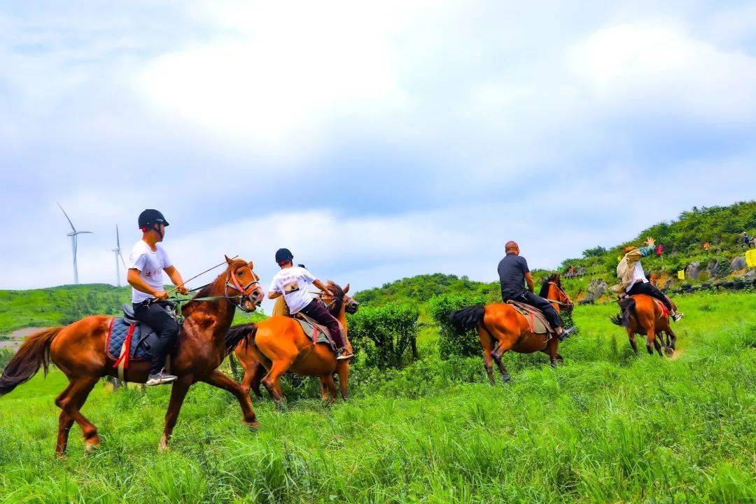 要想齐岳山的马儿跑就要给马儿吃草