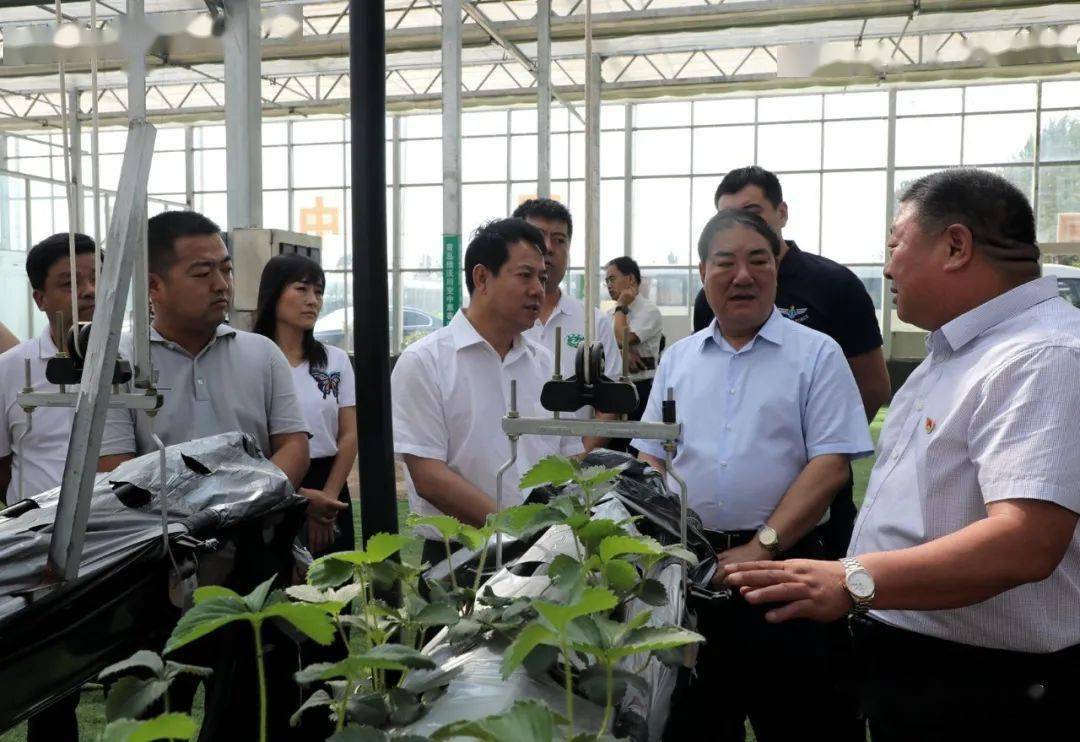 王文全带领成县考察团在青岛城阳区考察学习