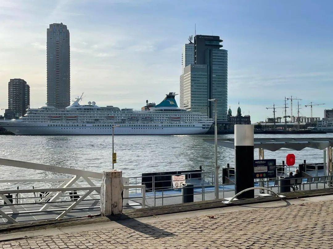 荷兰生活逐步恢复正常:鹿特丹港再次迎来游轮,马拉松不用准入证