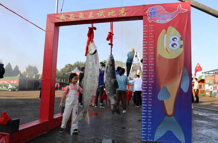 游客|万人锅炖百斤“鱼王” 河南南阳庆丰收
