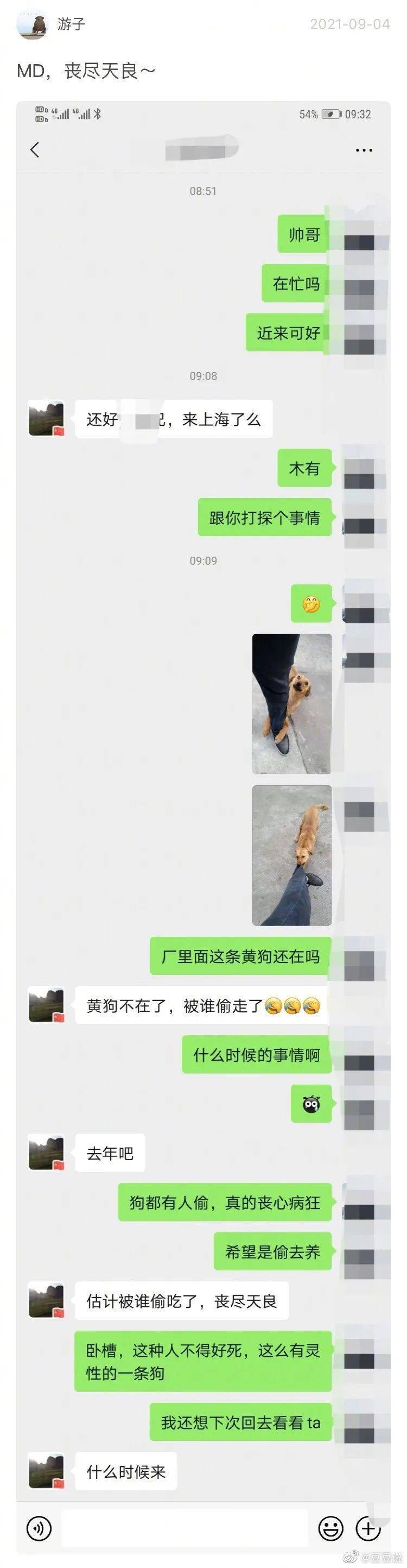 这只上了热搜的小黄狗,让无数网友破防了.