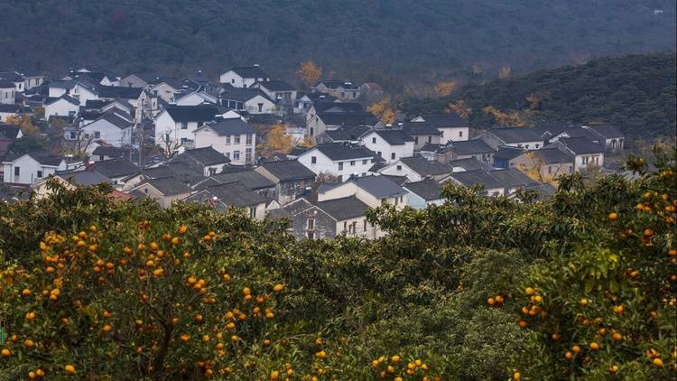 风景线|苏州东山：湖光山色锁金秋