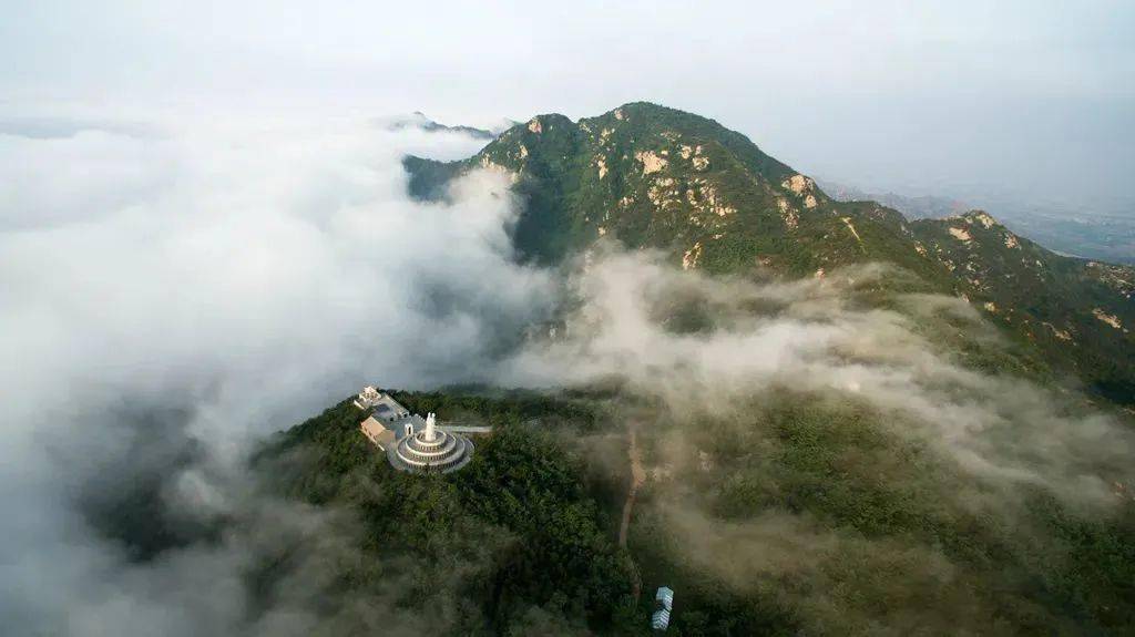 招远罗山十·一假期fun肆嗨 | 打板栗,赏花海,网红鸟巢,现金奖励