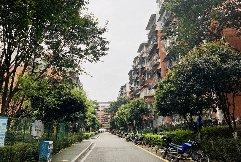 大竹林街道水竹苑社区:打造"一刻钟便民生活圈",办好十件民生实事