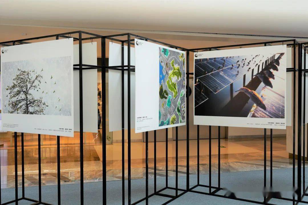 在其上静态展示,让观众可以更加沉浸地体验 画面和生命本身的冲击力